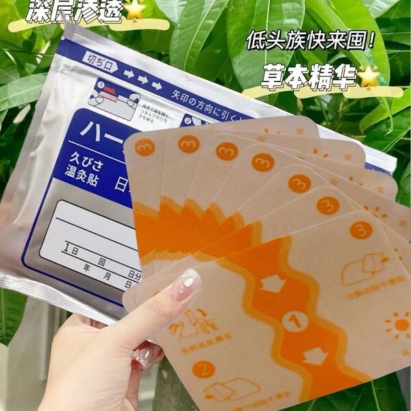 ( 2 Packet 14 Pcs) Japanese Back Pain Relief Patches